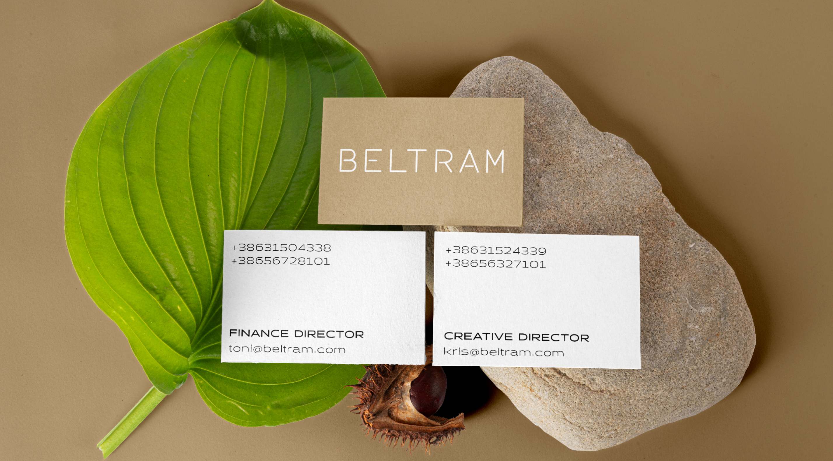 Beltram business cards arranged with natural elements including a green leaf, stone, and chestnut on a neutral background